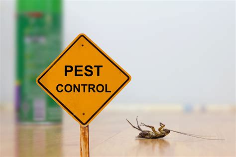 what is pest control services.